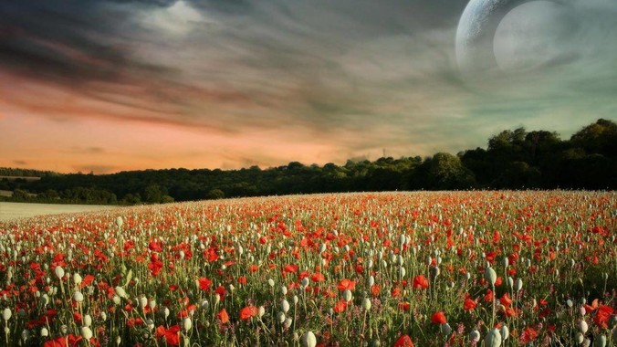 有哪些BI工具惊艳了你?